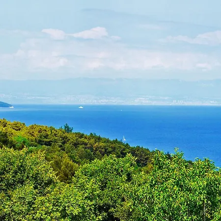Сasa de vacaciones Holiday Melisa - 1 Labin (Istria)